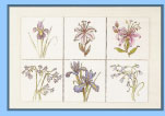 Tile Connecticut, Custom Tile Connecticut